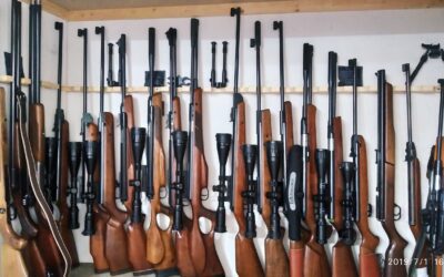Rifle vs. Shotgun: Choosing the Right Long Gun